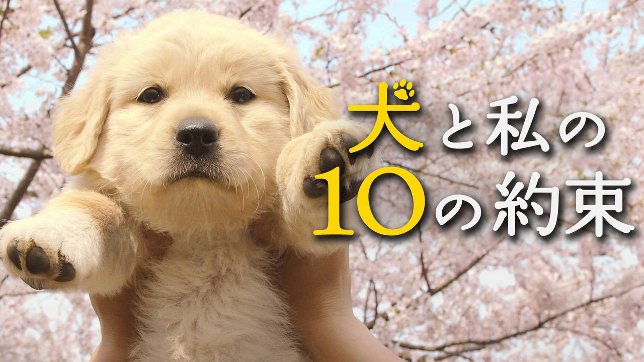 Inu to watashi no 10 no yakusoku scene photo