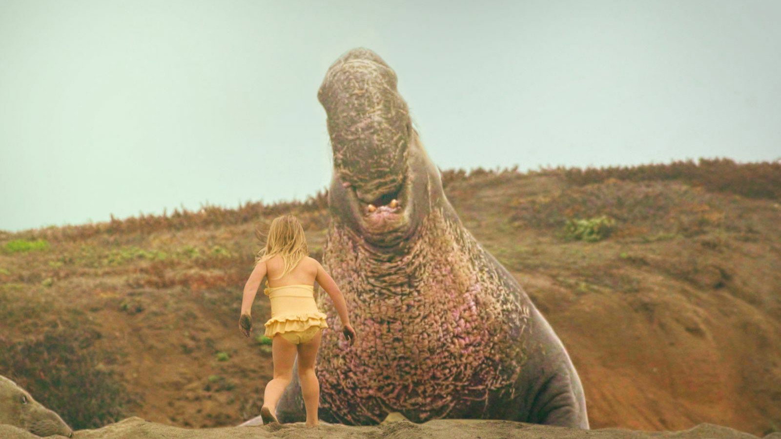 Island of Lost Girls scene photo