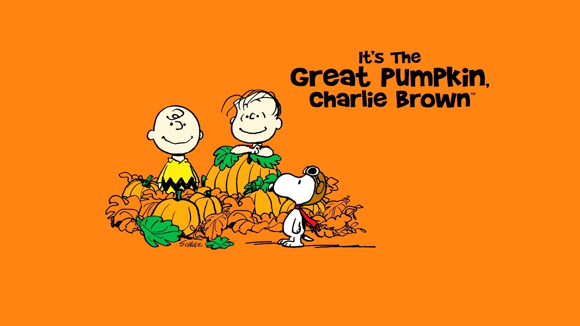 It's the Great Pumpkin, Charlie Brown scene photo