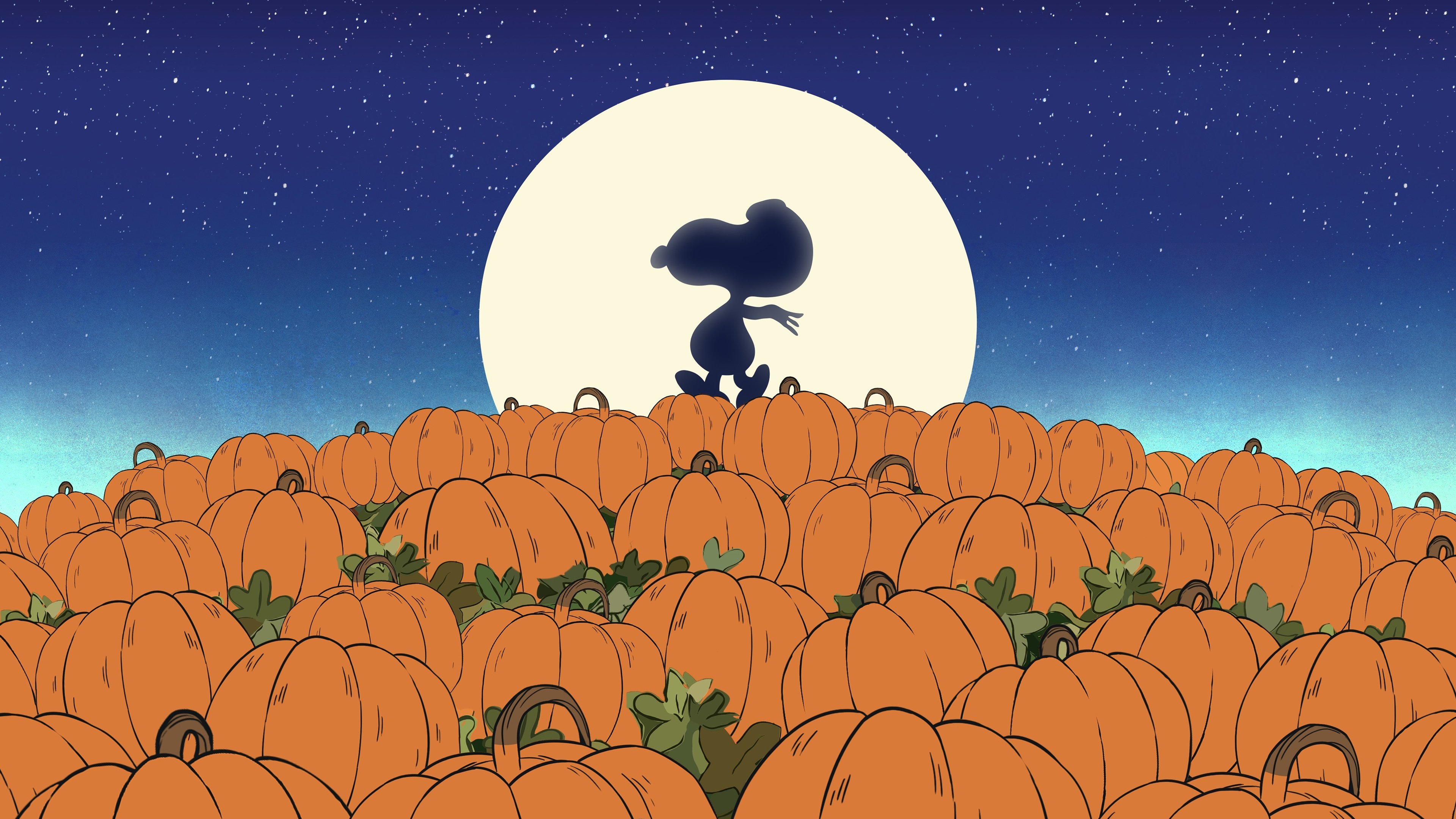 It's the Great Pumpkin, Charlie Brown scene photo