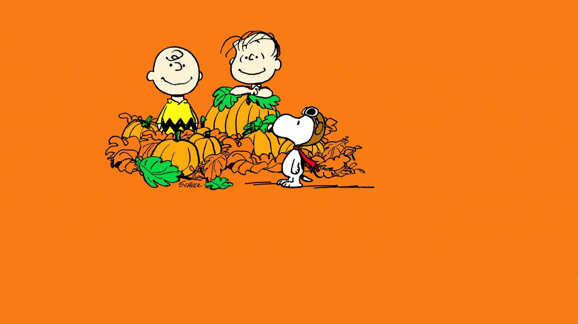 It's the Great Pumpkin, Charlie Brown scene photo