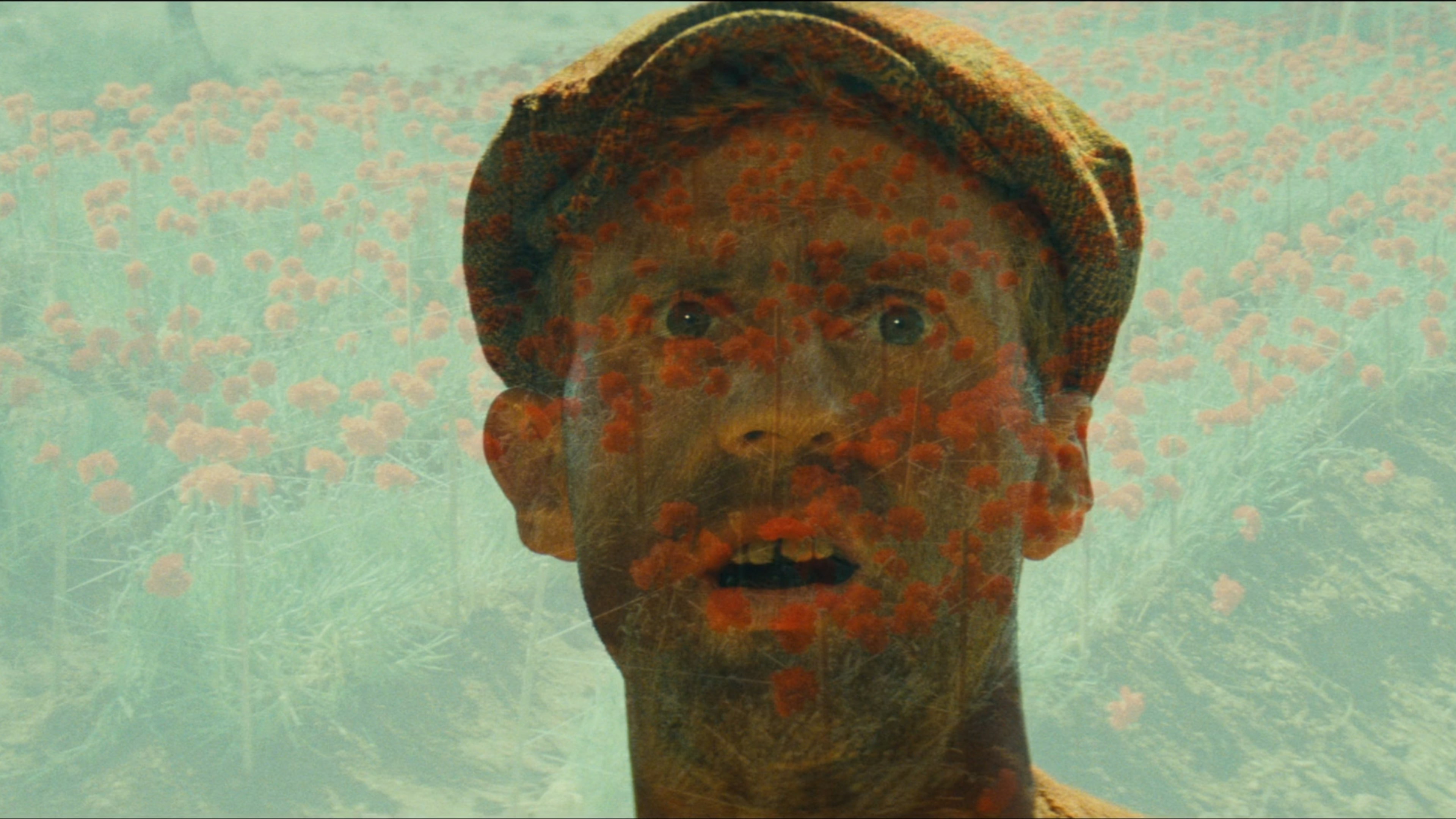 Jean de Florette scene photo