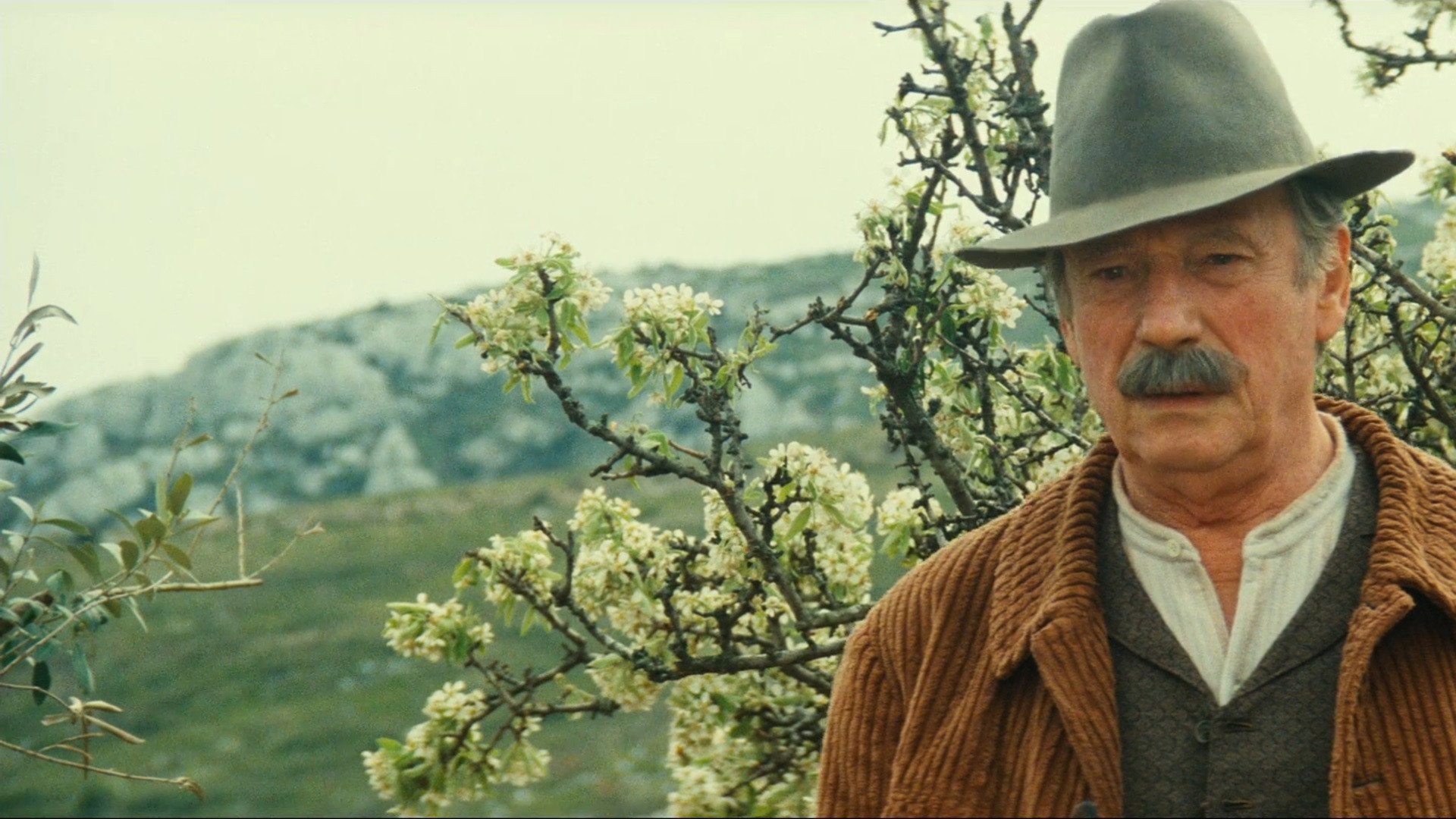 Jean de Florette scene photo