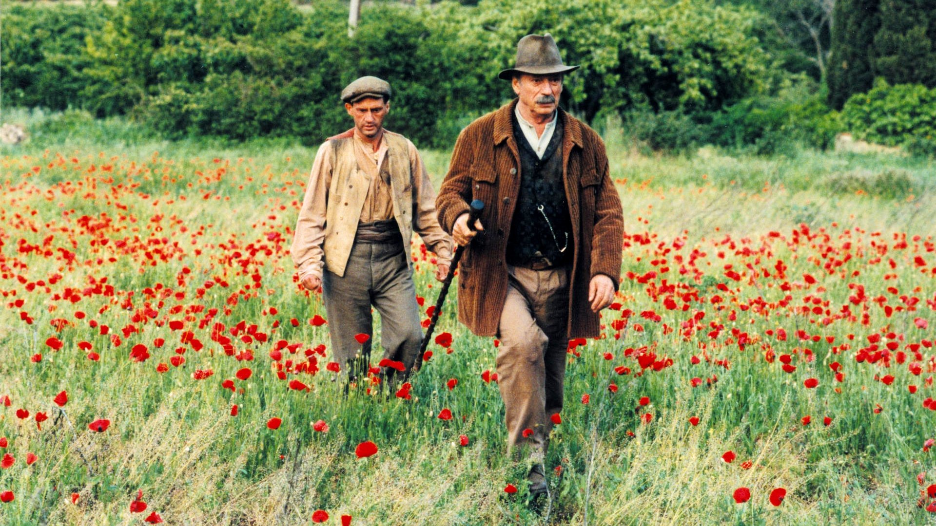 Jean de Florette scene photo