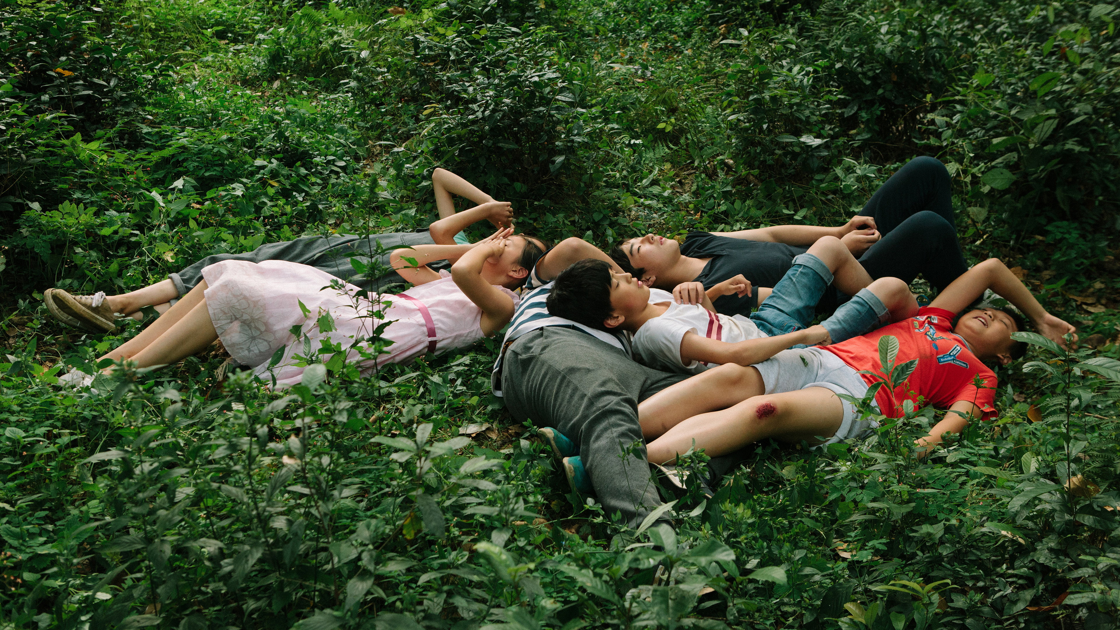 Jiao qu de niao scene photo