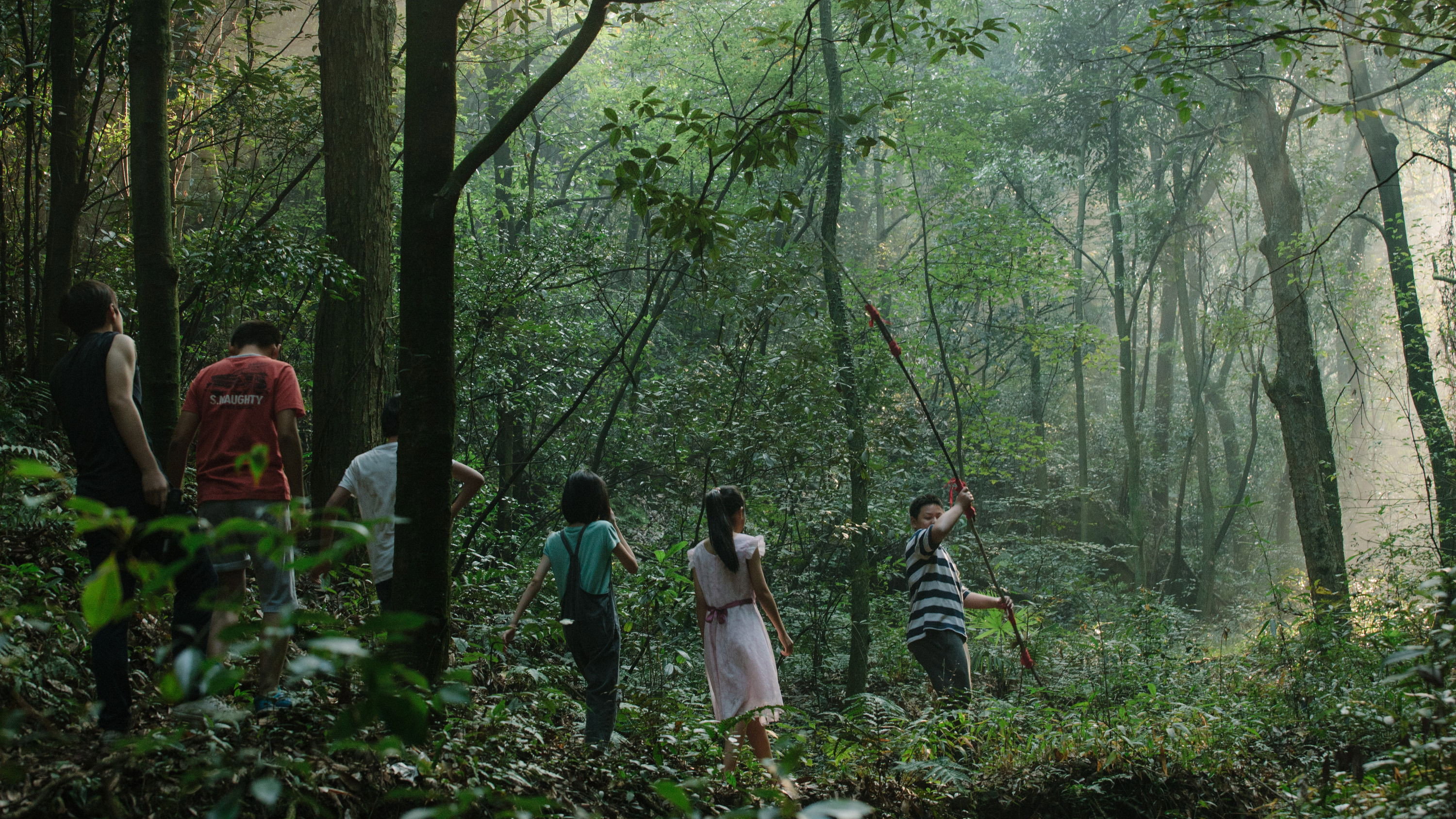 Jiao qu de niao scene photo