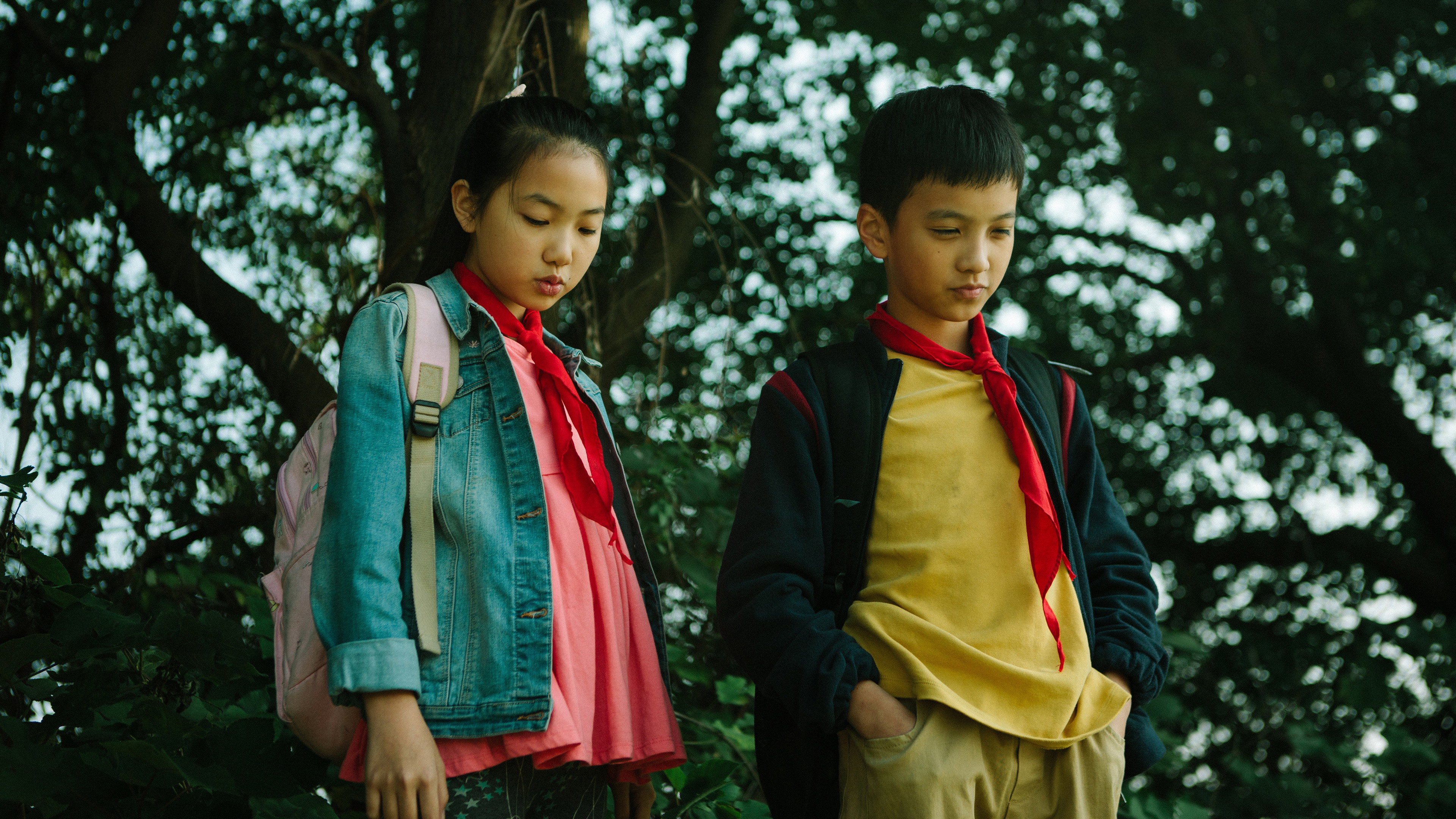 Jiao qu de niao scene photo