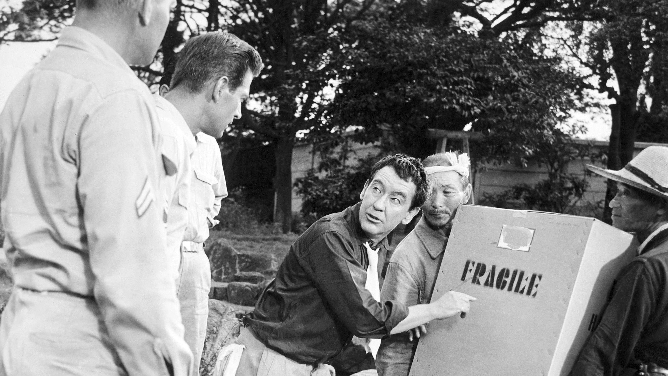 Joe Butterfly scene photo