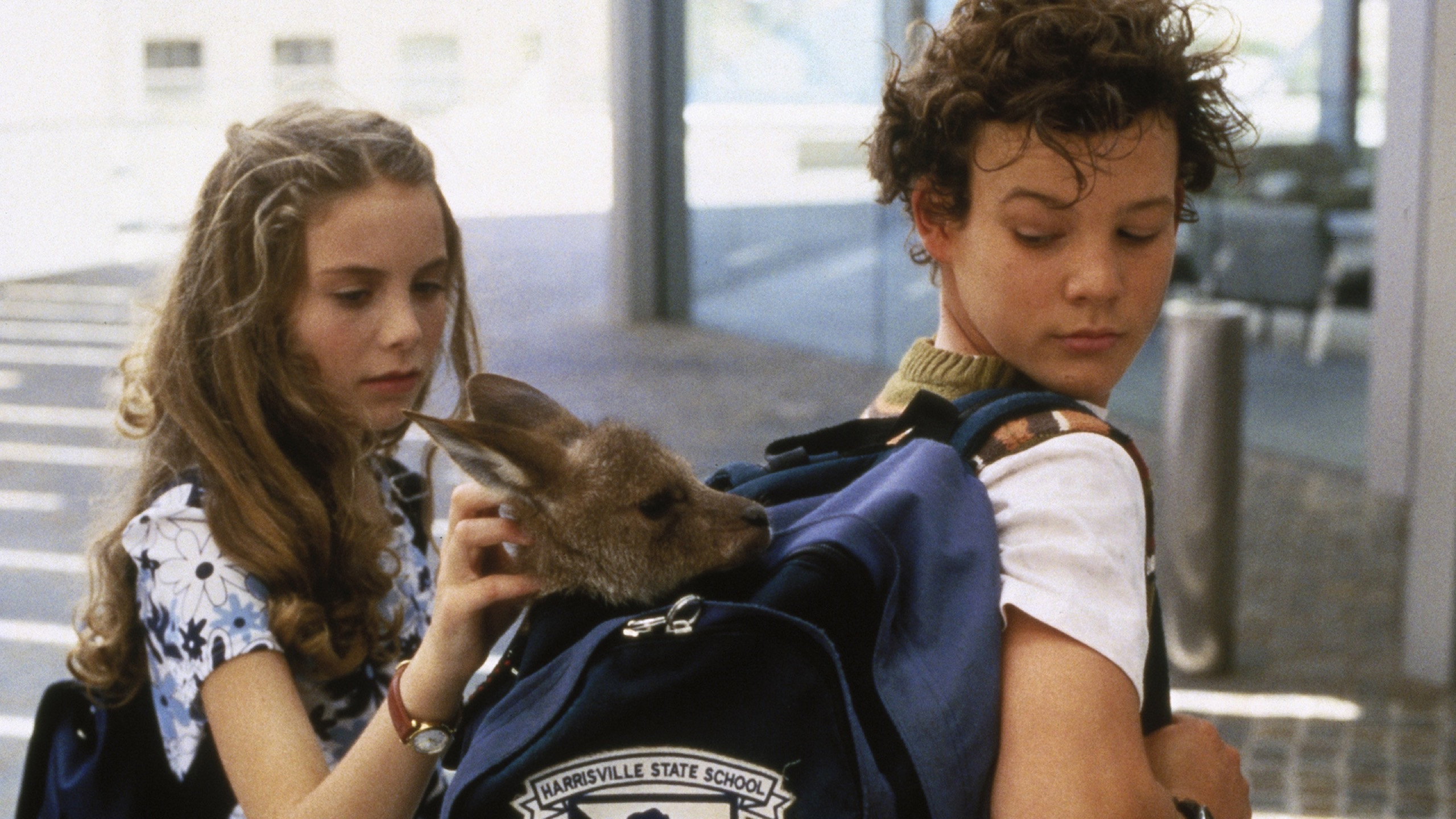 Joey scene photo