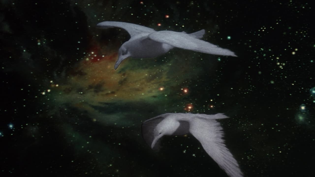 Jonathan Livingston Seagull scene photo