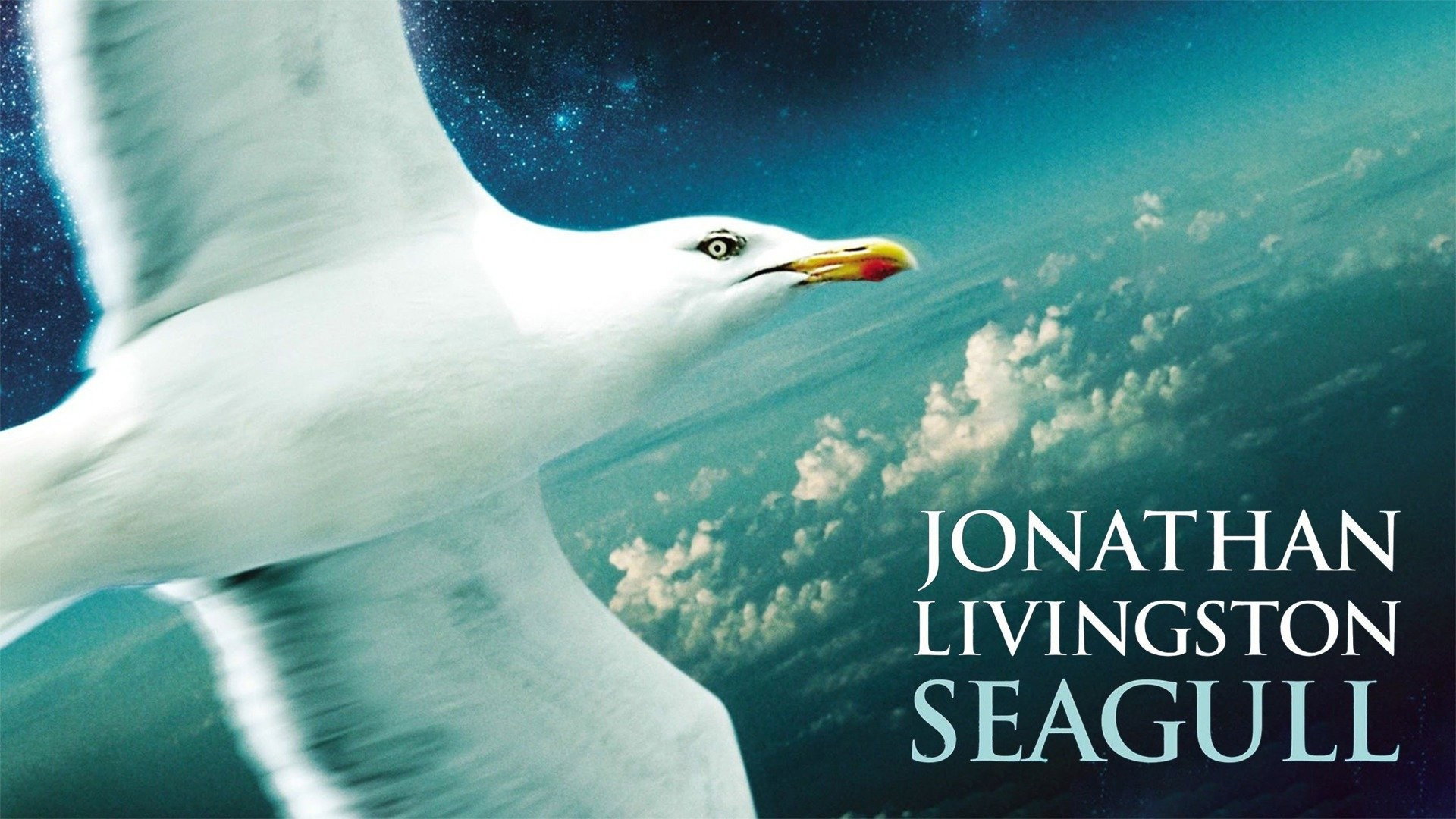 Jonathan Livingston Seagull scene photo