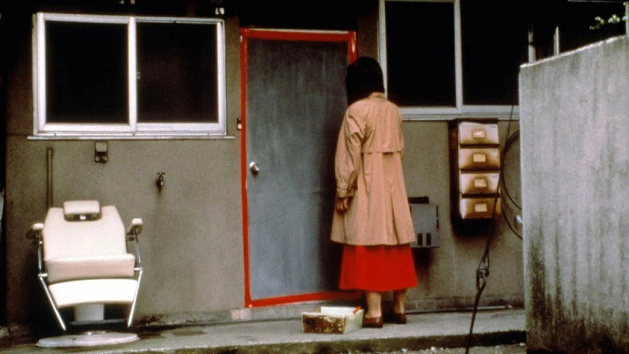 Kairo scene photo