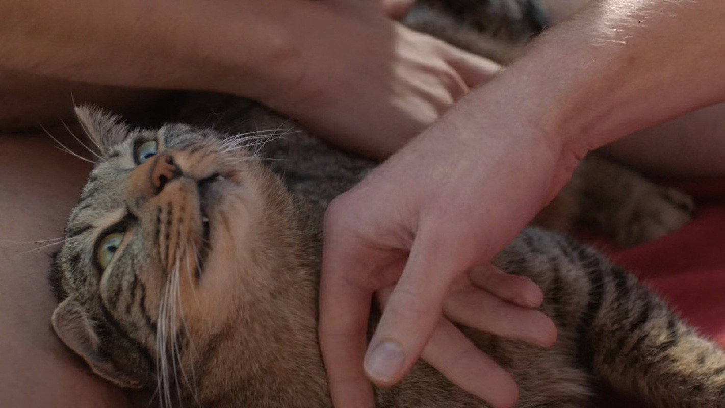 Kater scene photo