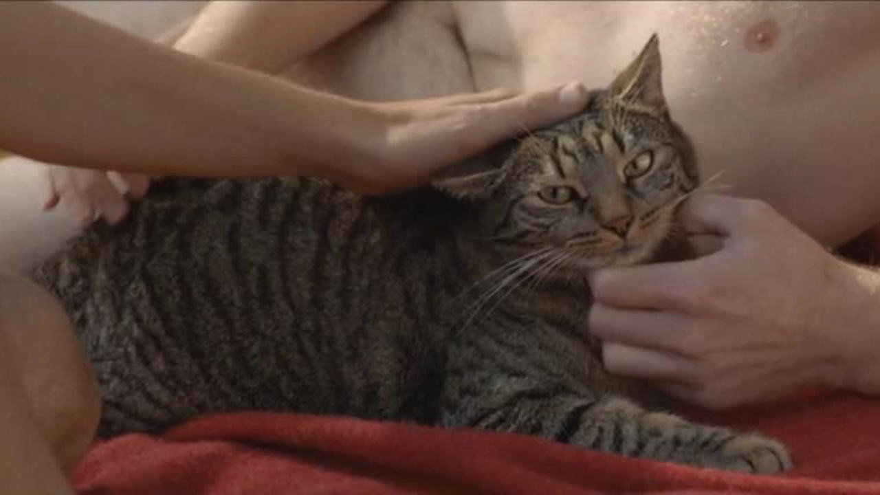 Kater scene photo
