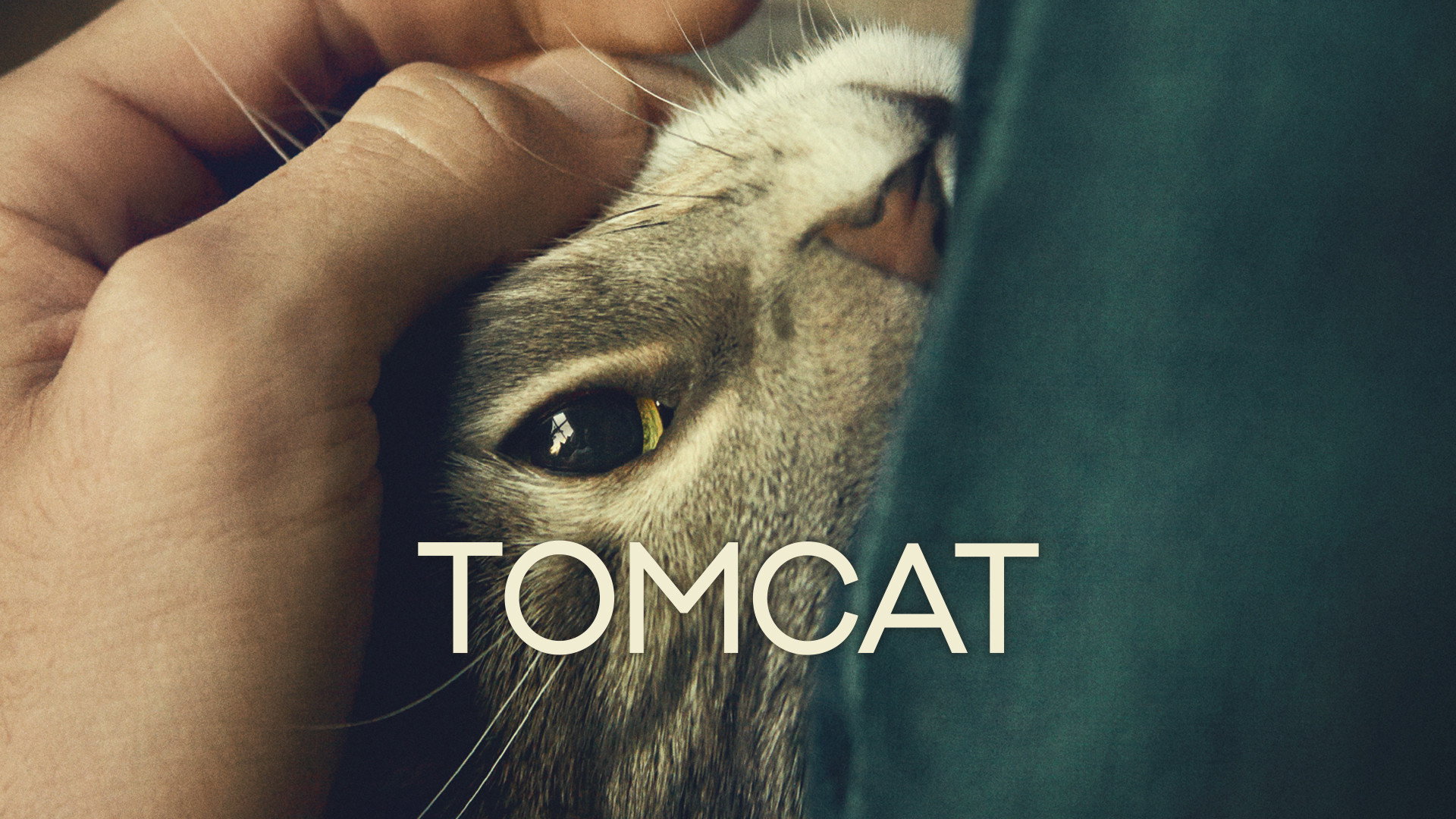 Kater scene photo