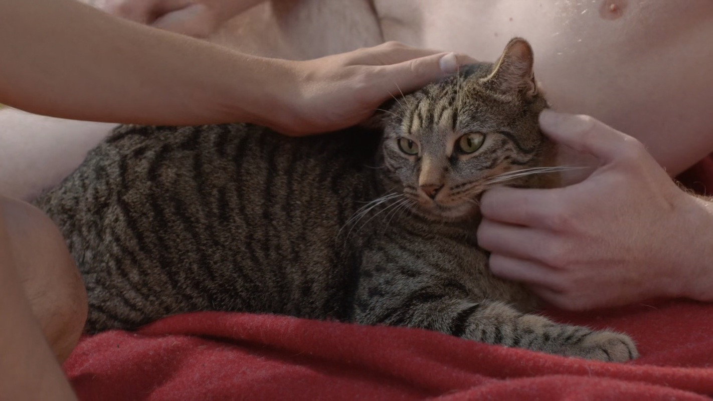 Kater scene photo