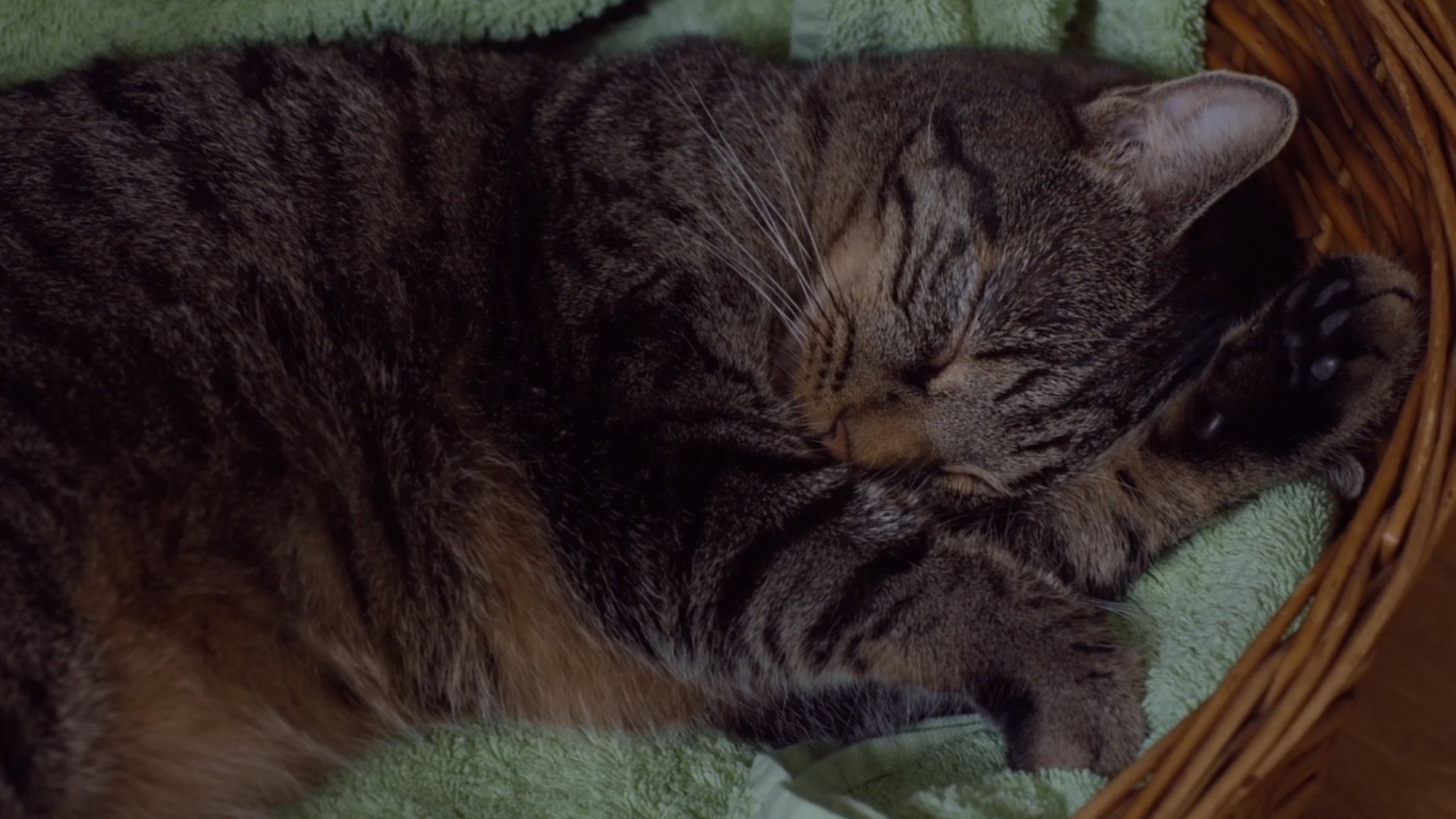 Kater scene photo