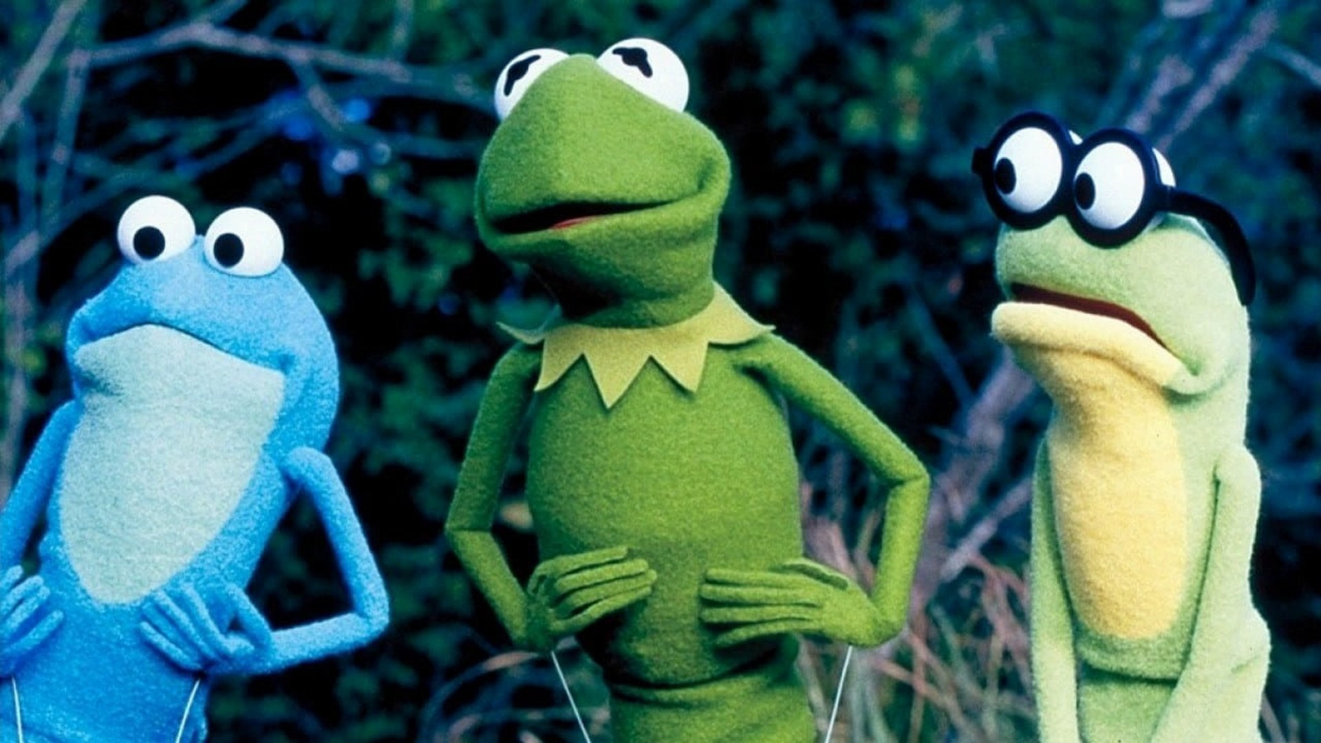 Kermit's Swamp Years scene photo