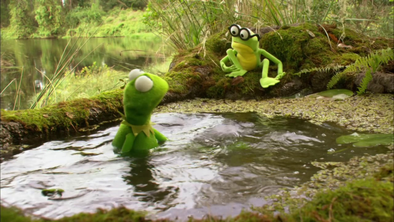 Kermit's Swamp Years scene photo