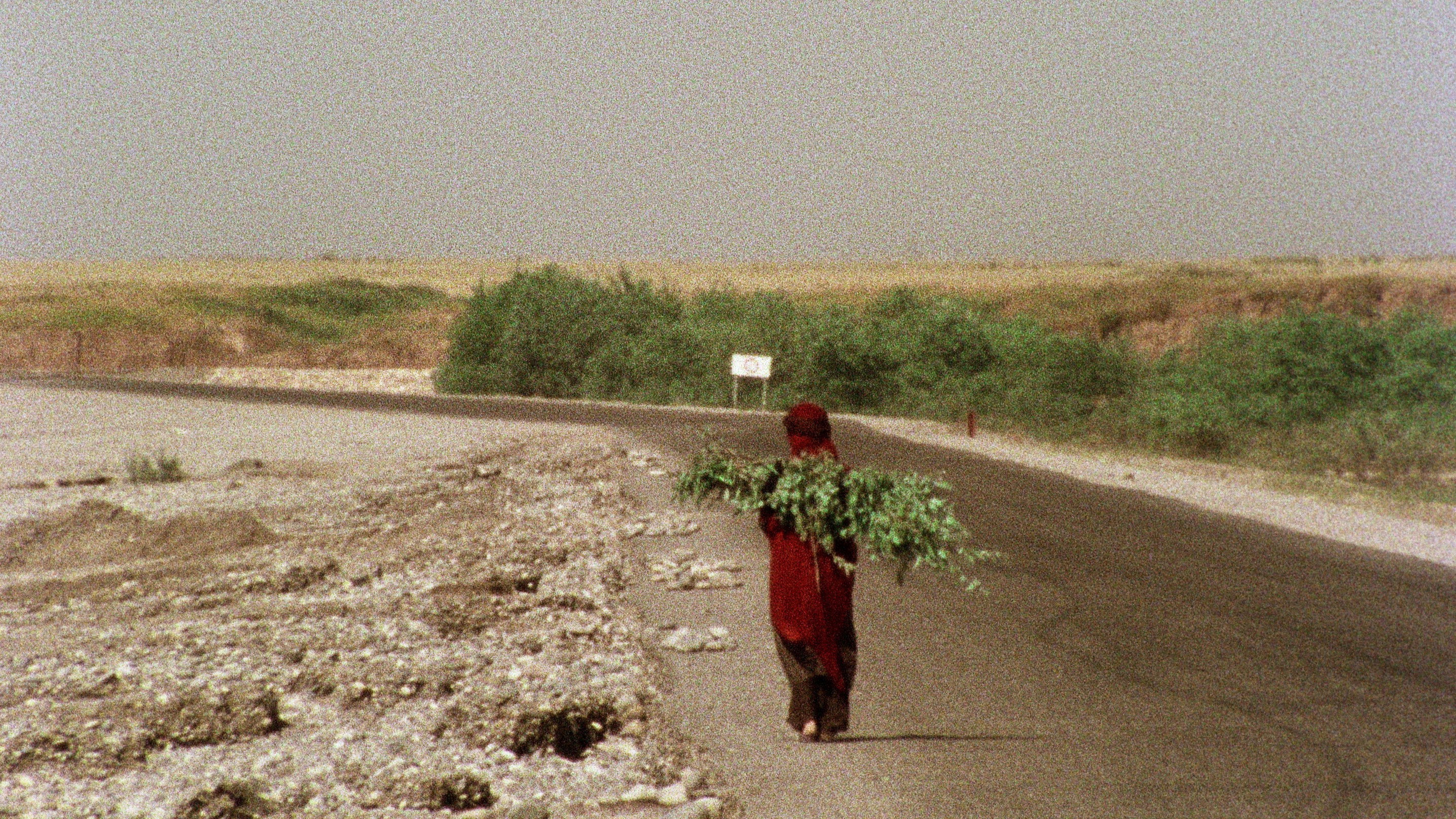Khake Sar Beh Mohr scene photo