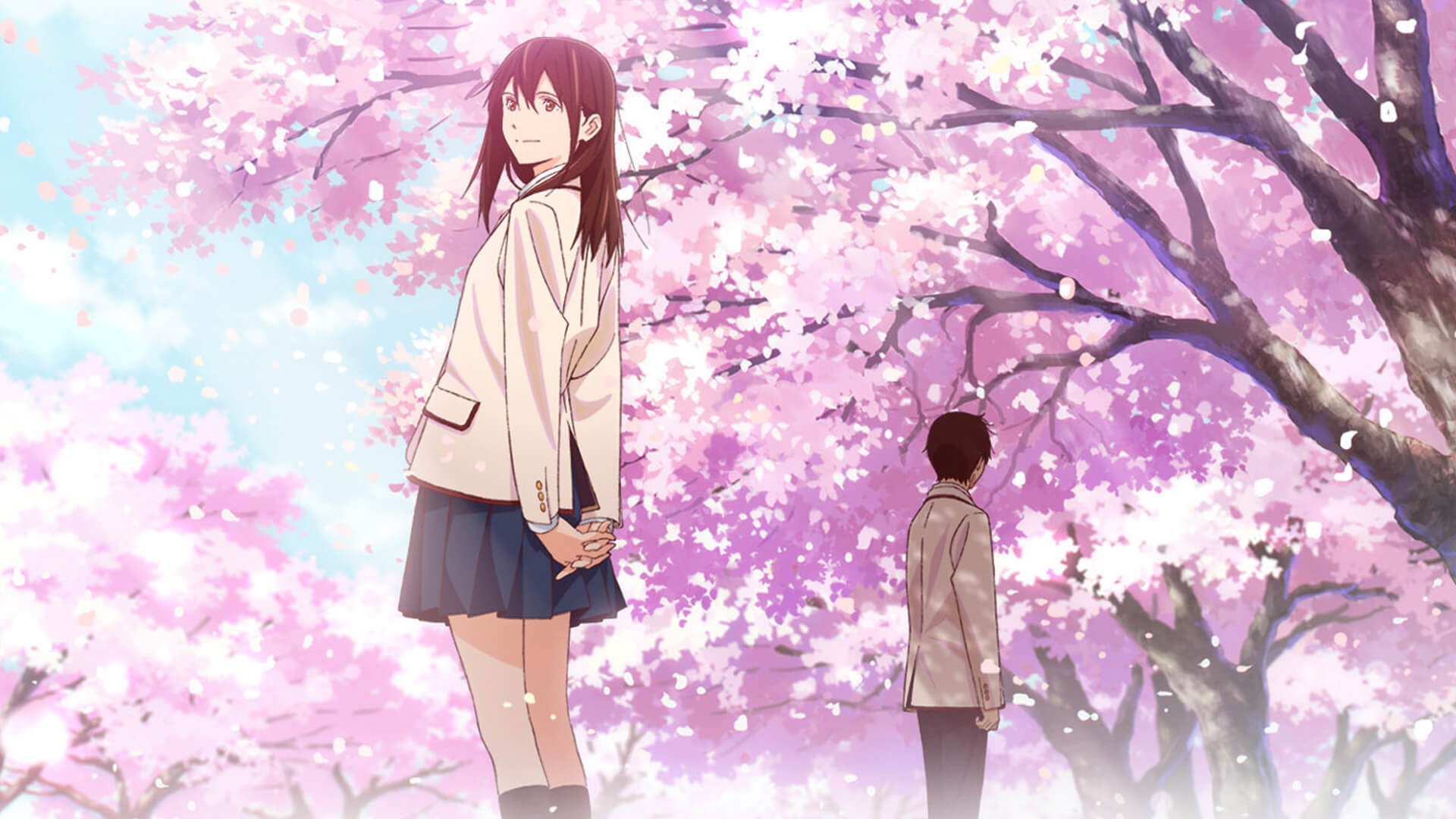 Kimi no suizô o tabetai scene photo