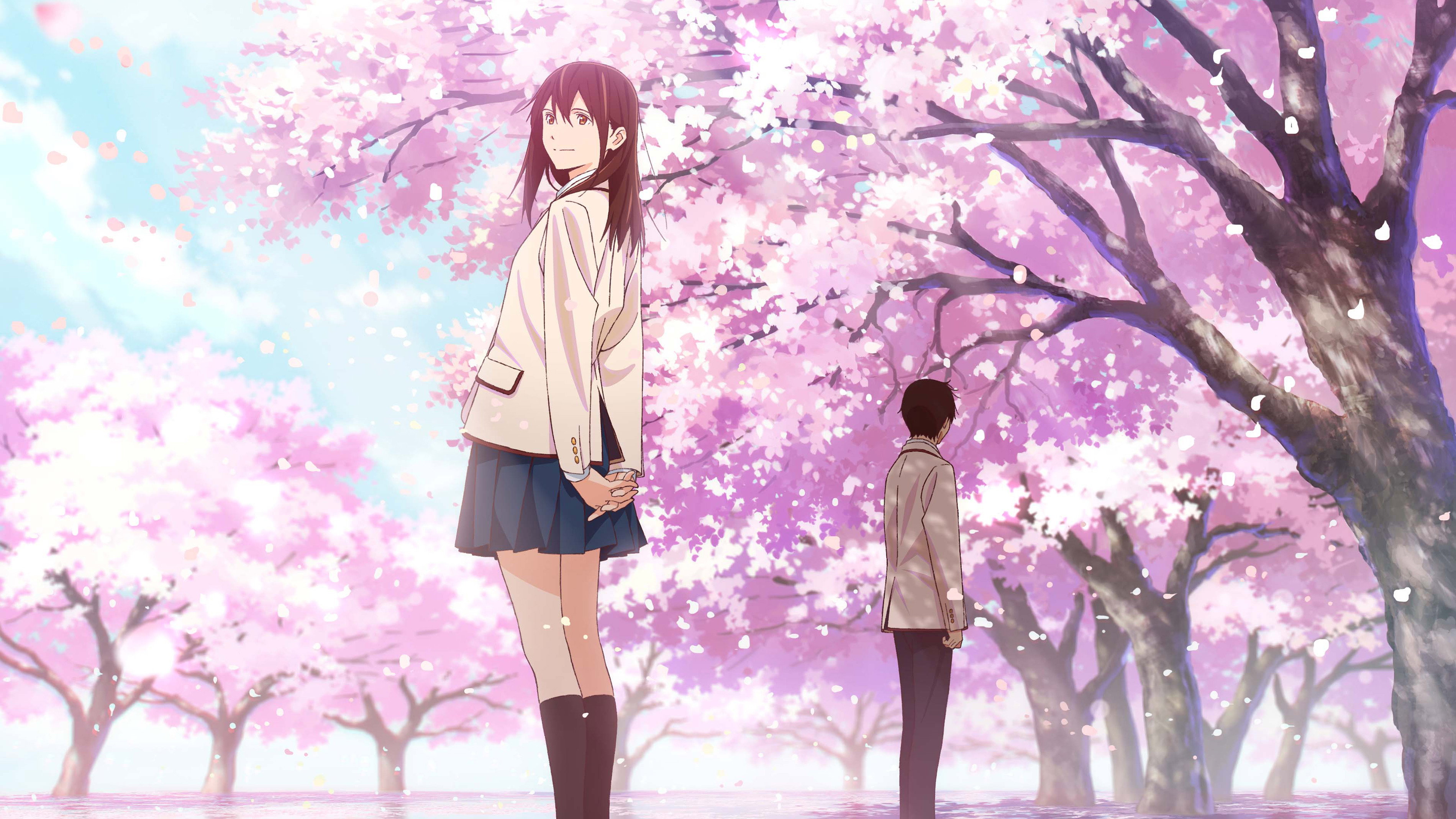 Kimi no suizô o tabetai scene photo