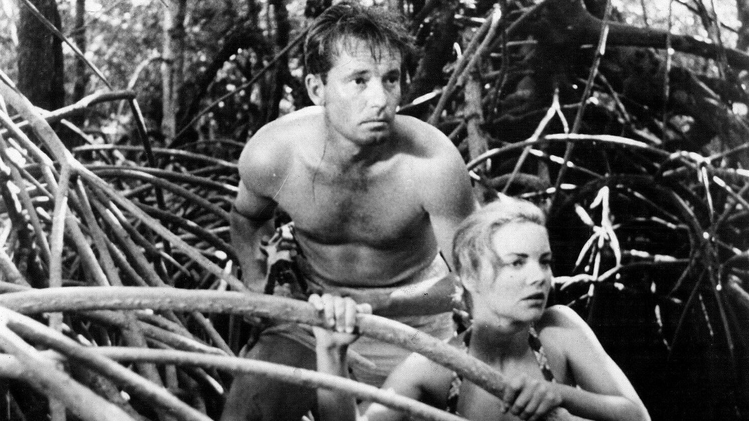 King of the Coral Sea scene photo