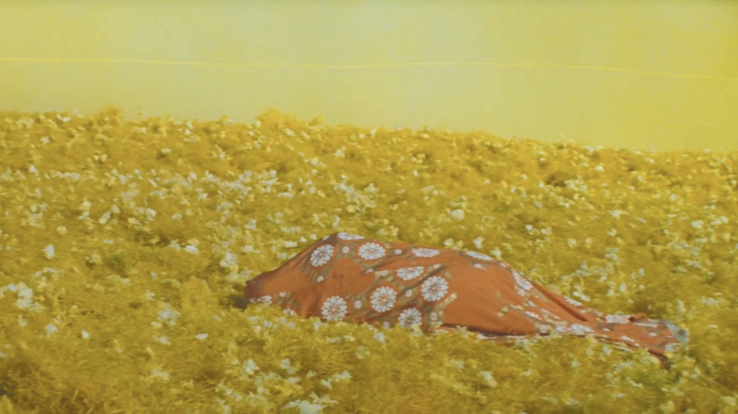 Koiya koi nasu na koi scene photo