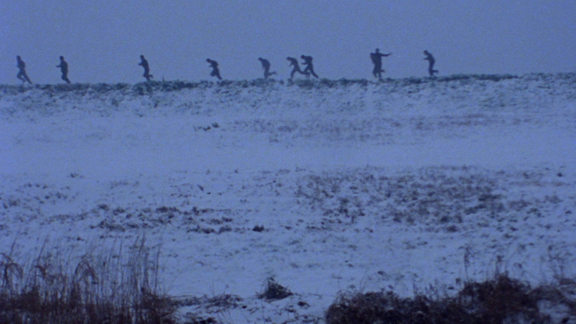 Kuruizaki sanda rodo scene photo