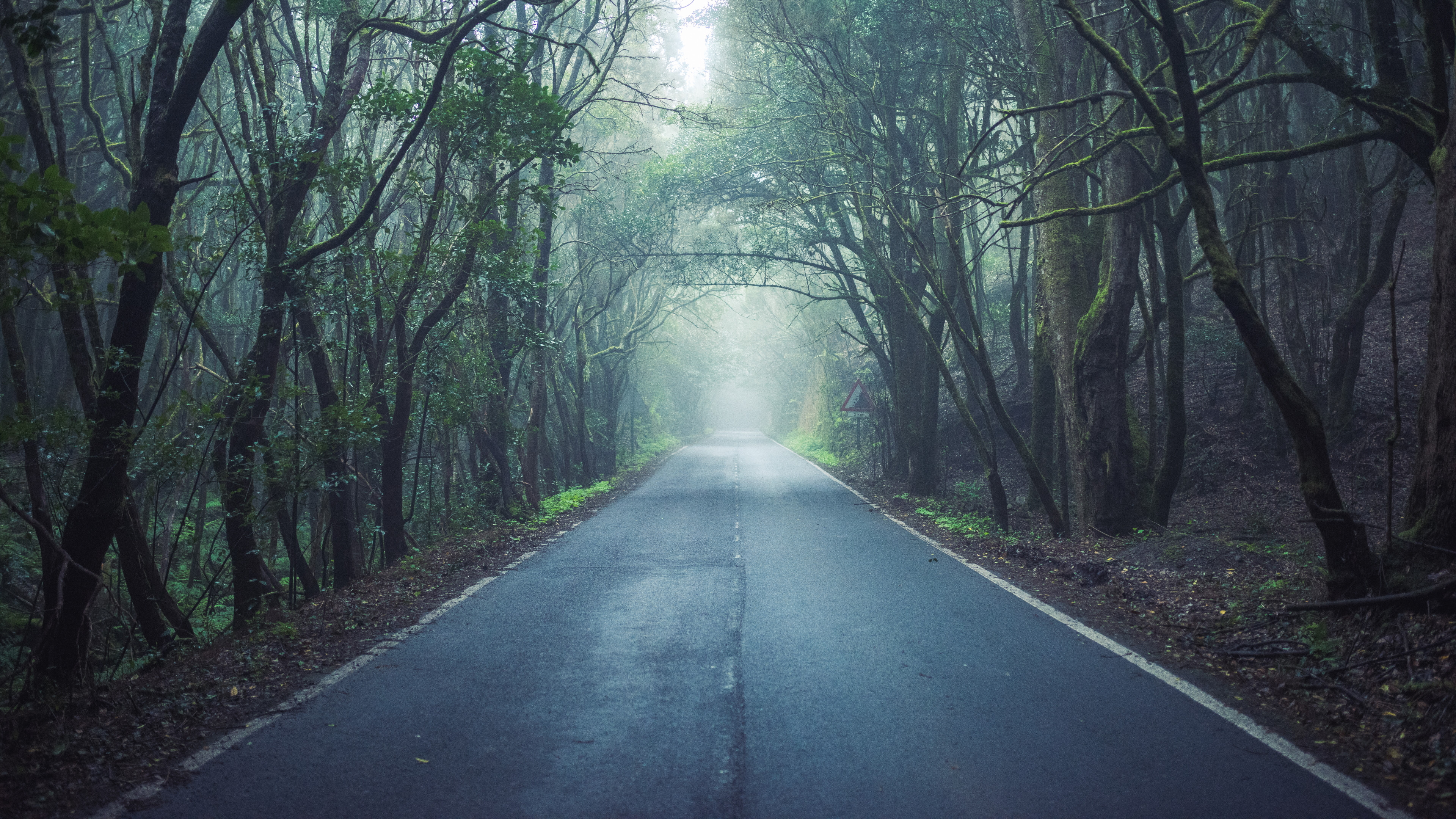 La gomera scene photo