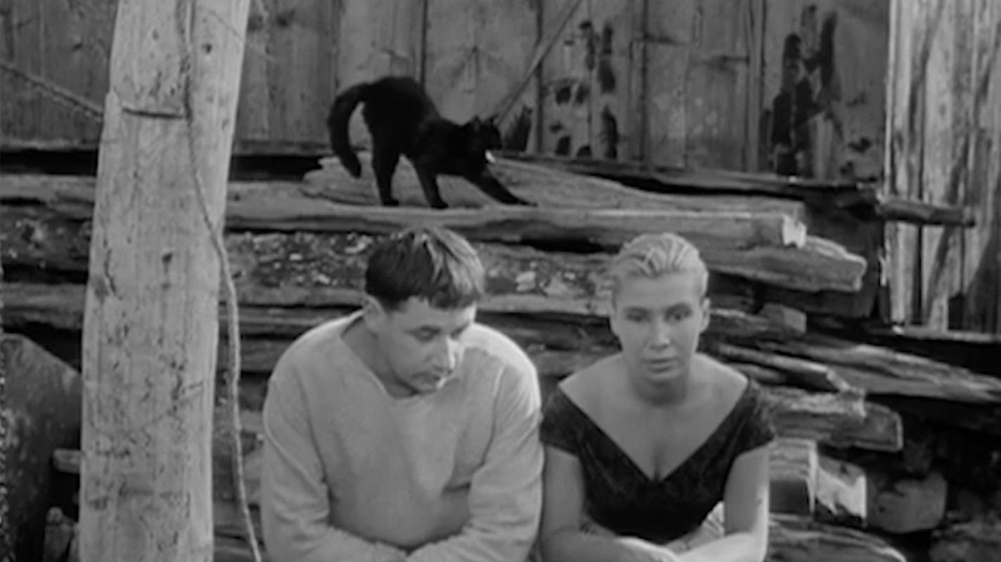 La Pointe-Courte scene photo
