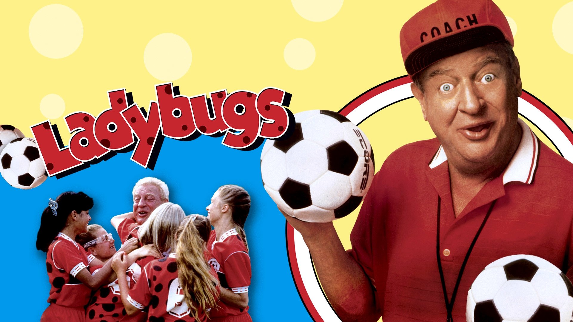 Ladybugs scene photo