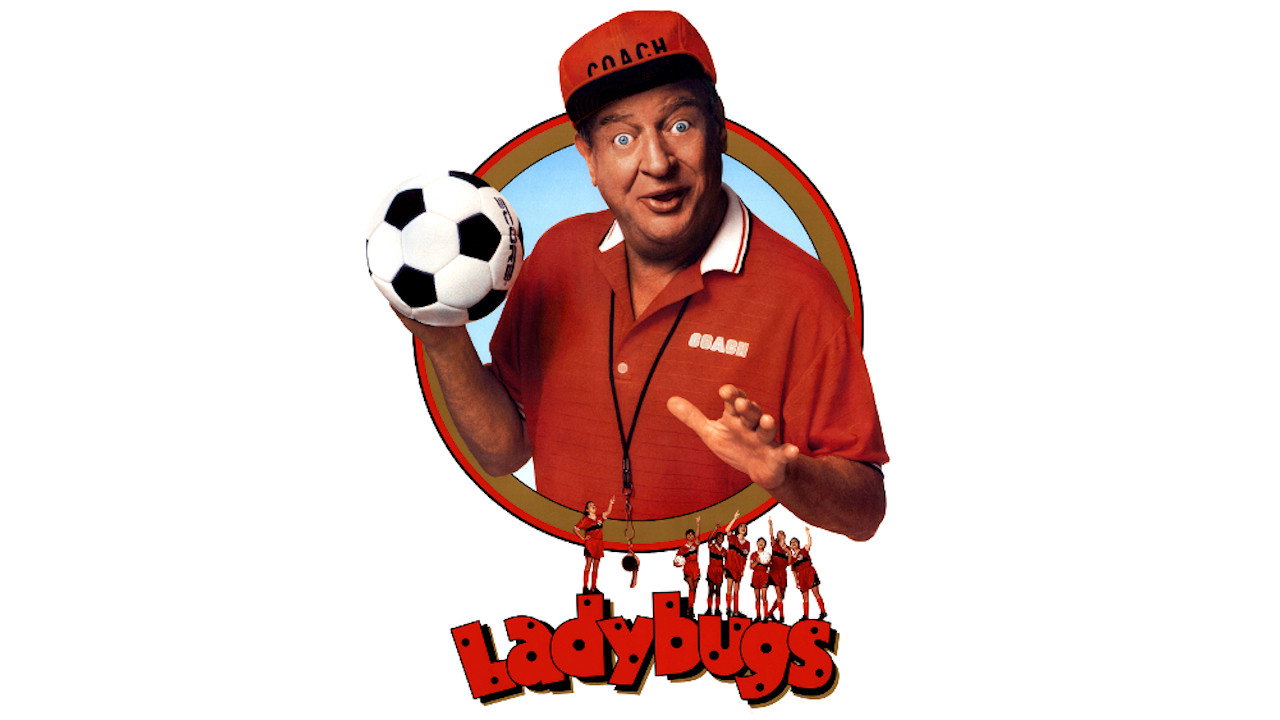 Ladybugs scene photo