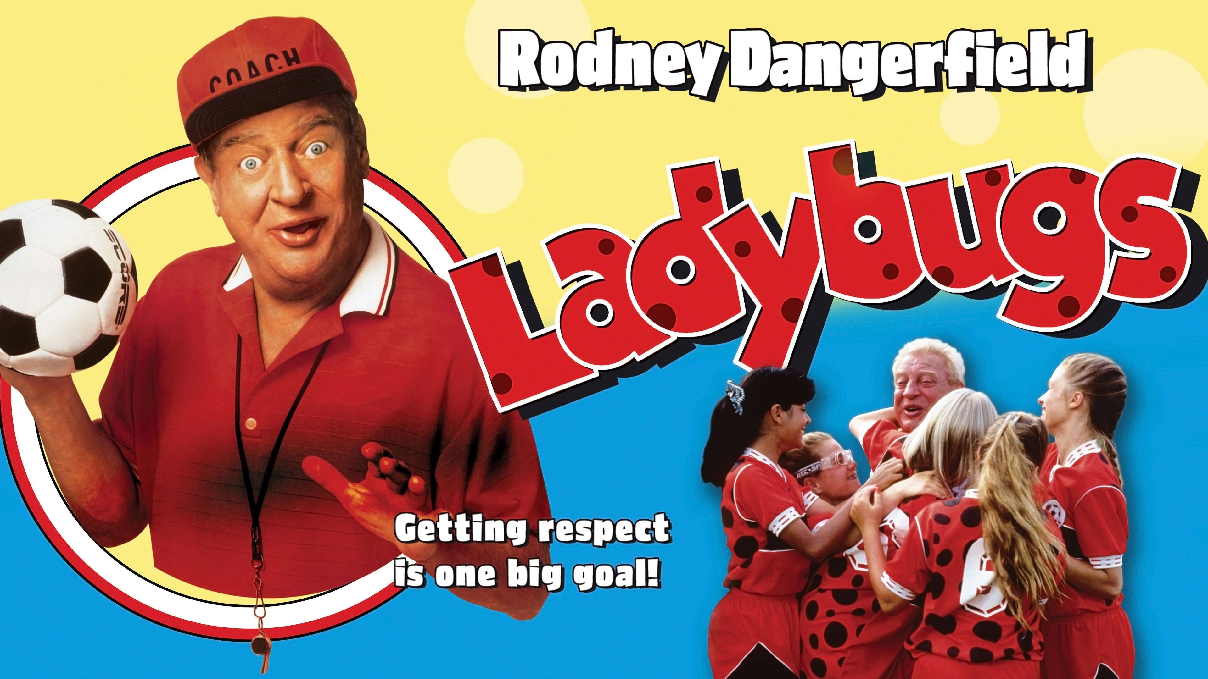 Ladybugs scene photo