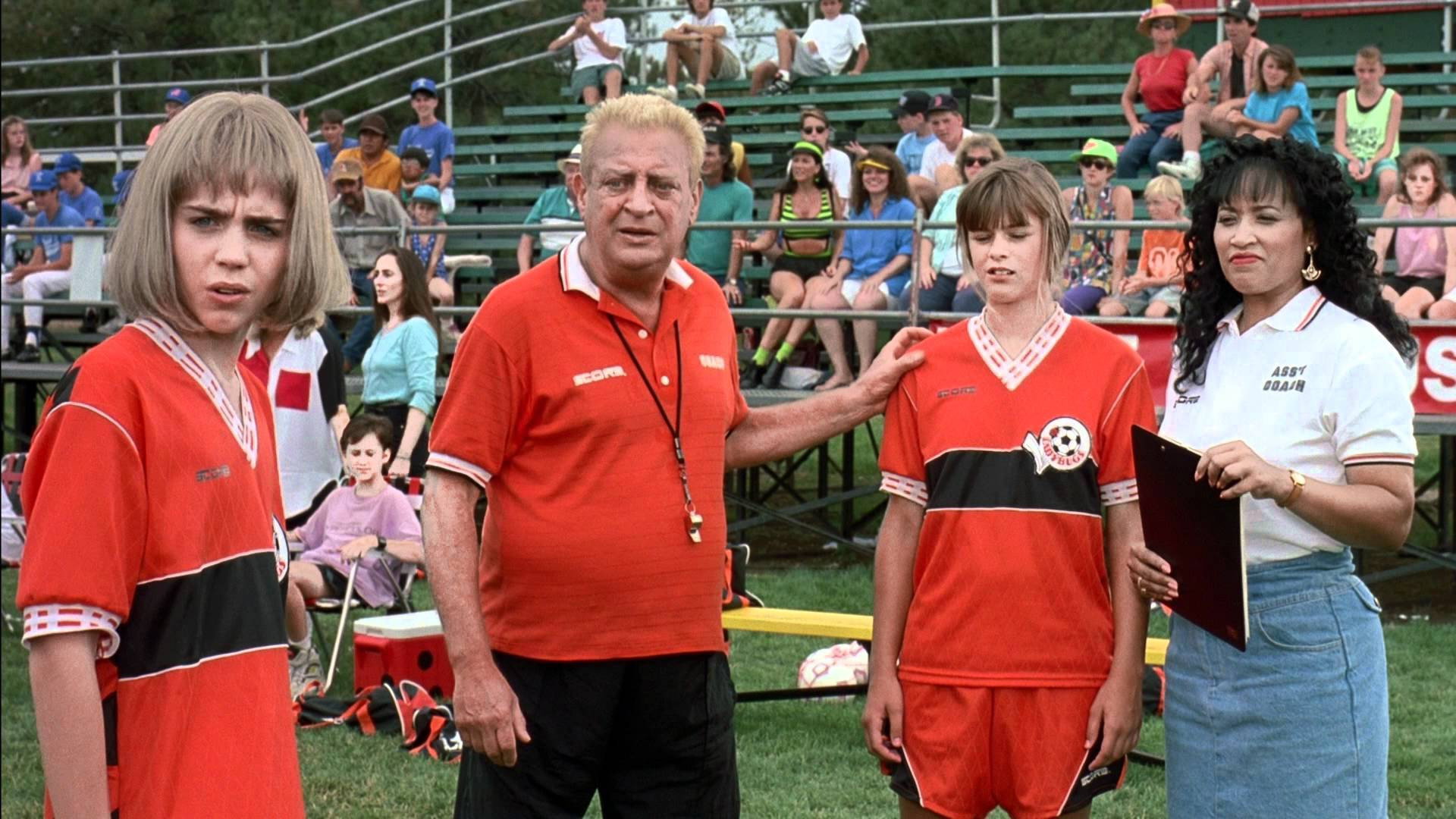 Ladybugs scene photo