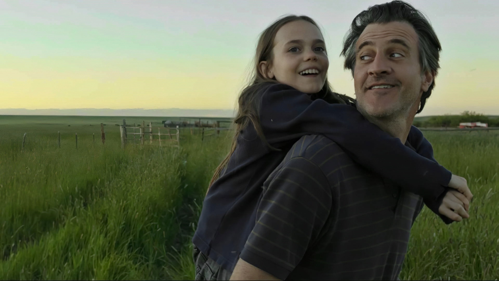 Lamb scene photo