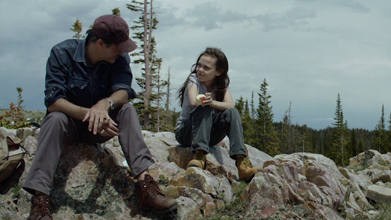 Lamb scene photo