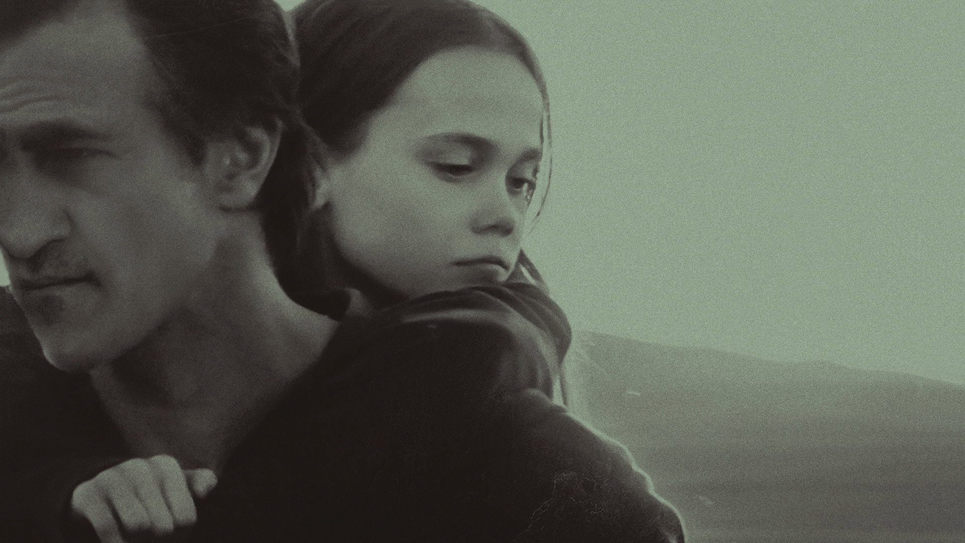 Lamb scene photo