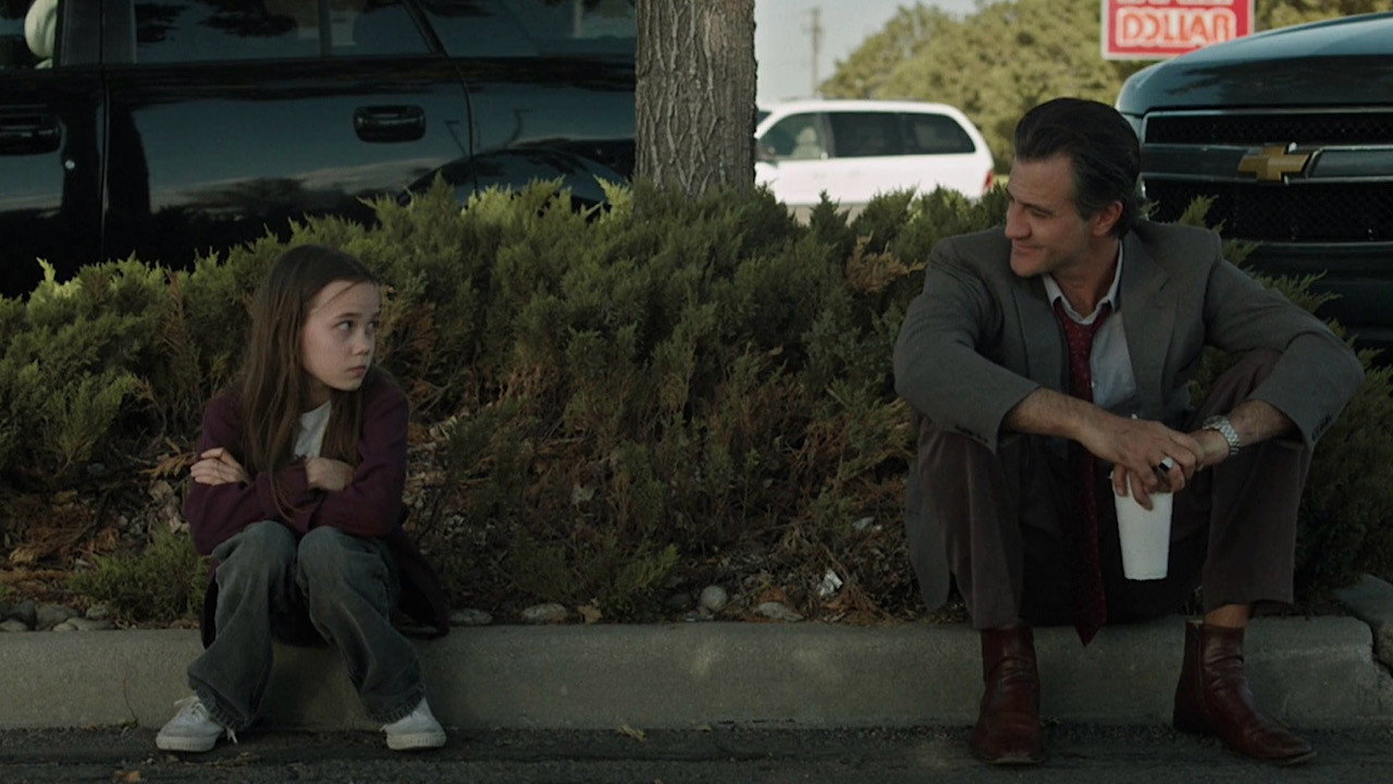 Lamb scene photo