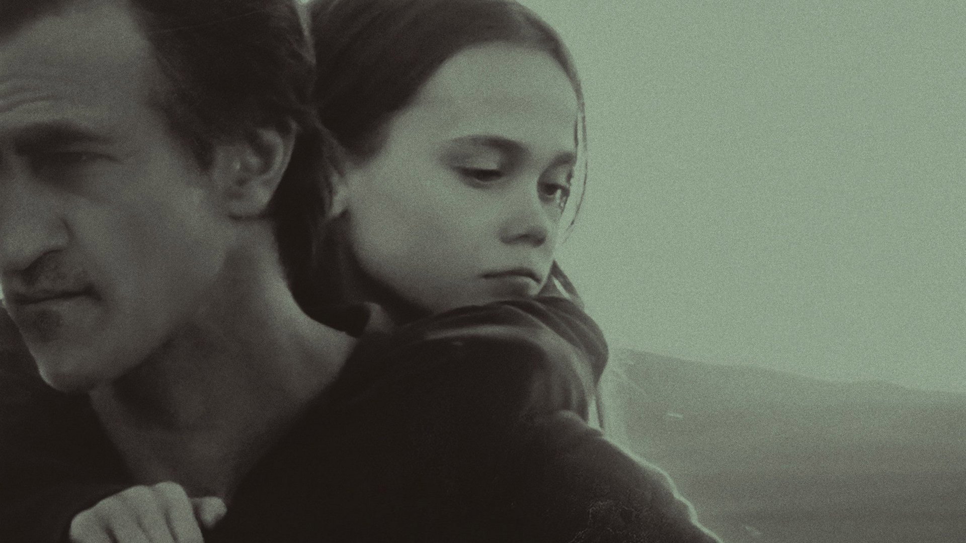 Lamb scene photo