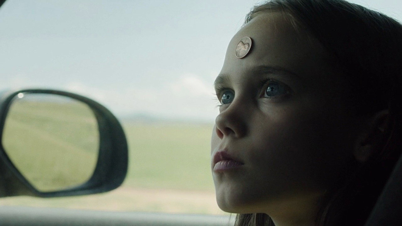 Lamb scene photo
