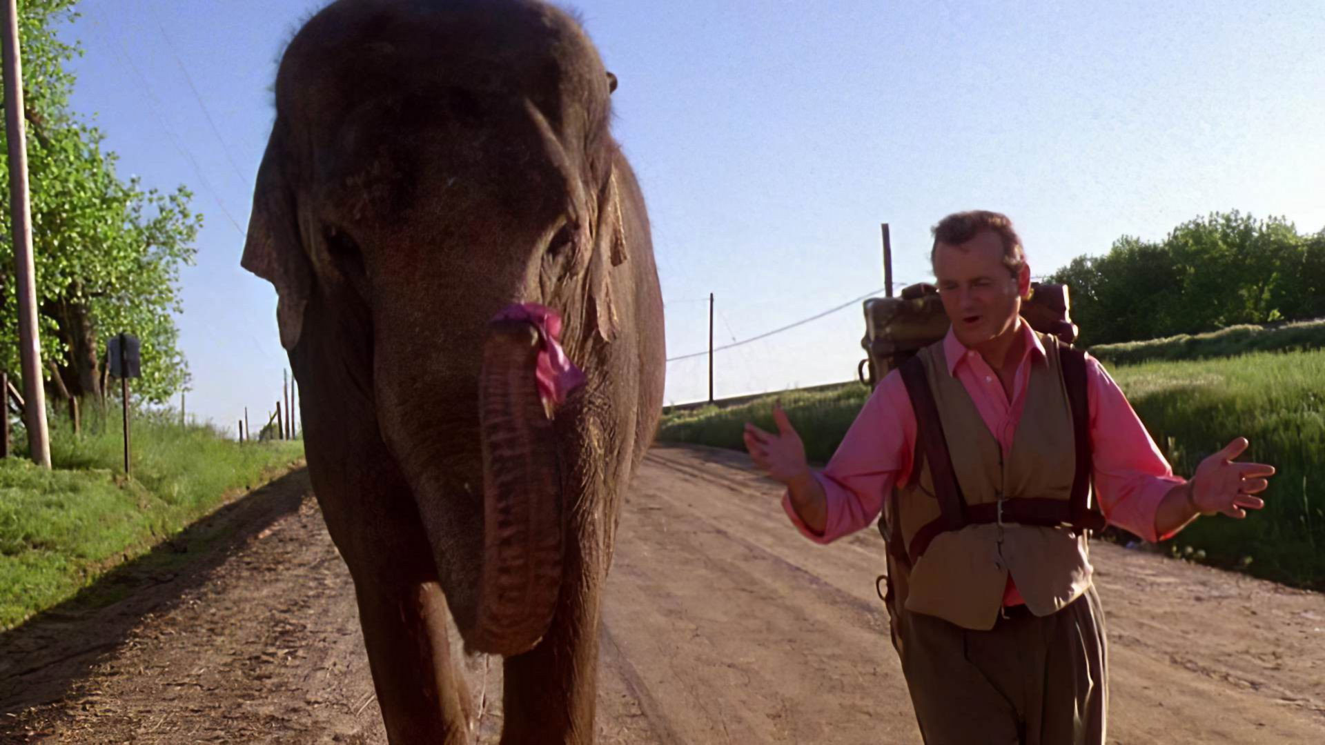 Larger Than Life scene photo