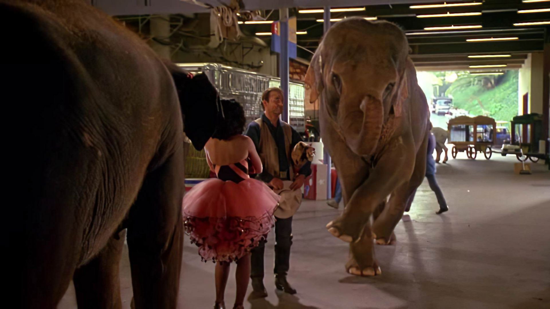 Larger Than Life scene photo
