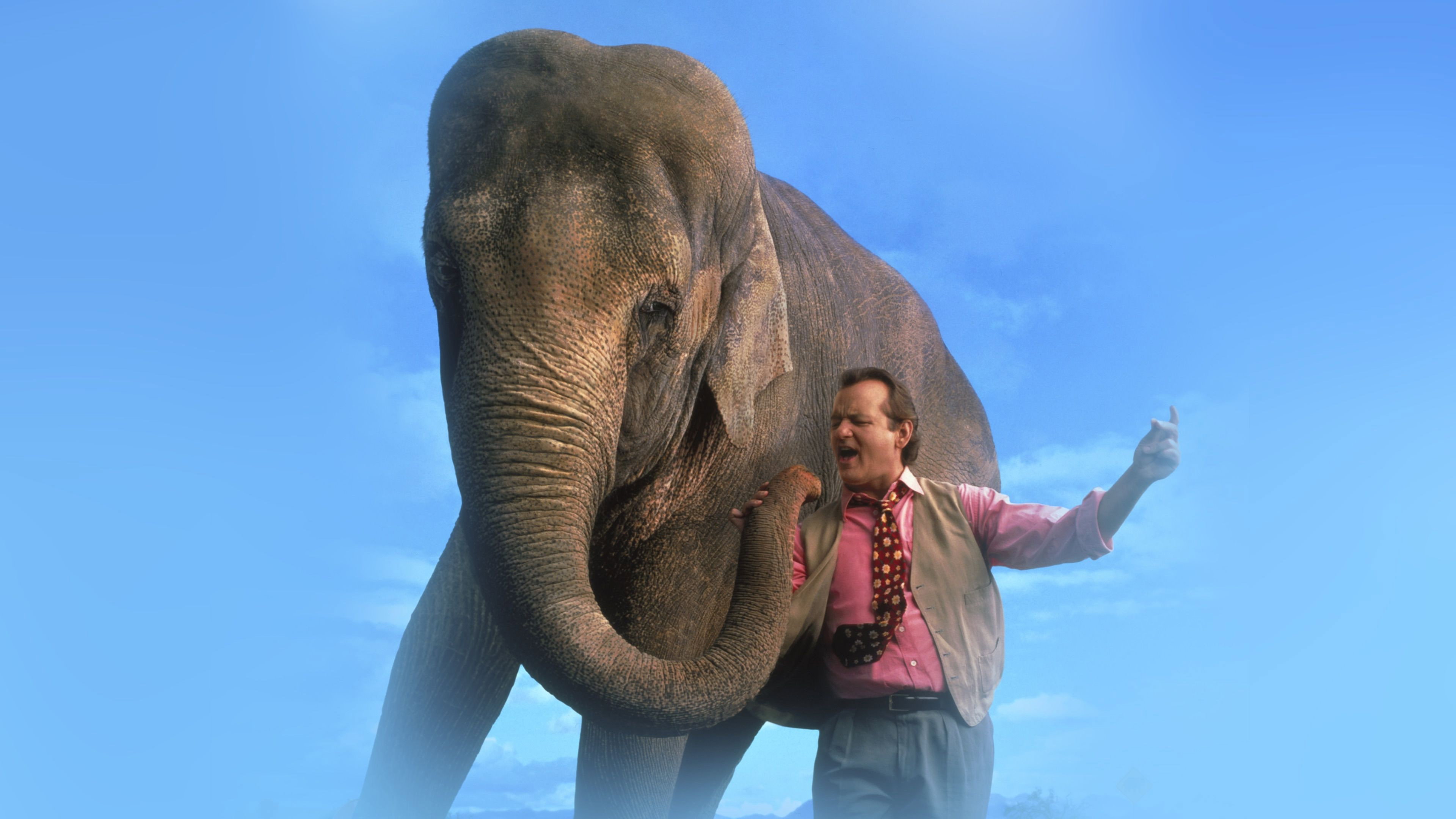 Larger Than Life scene photo