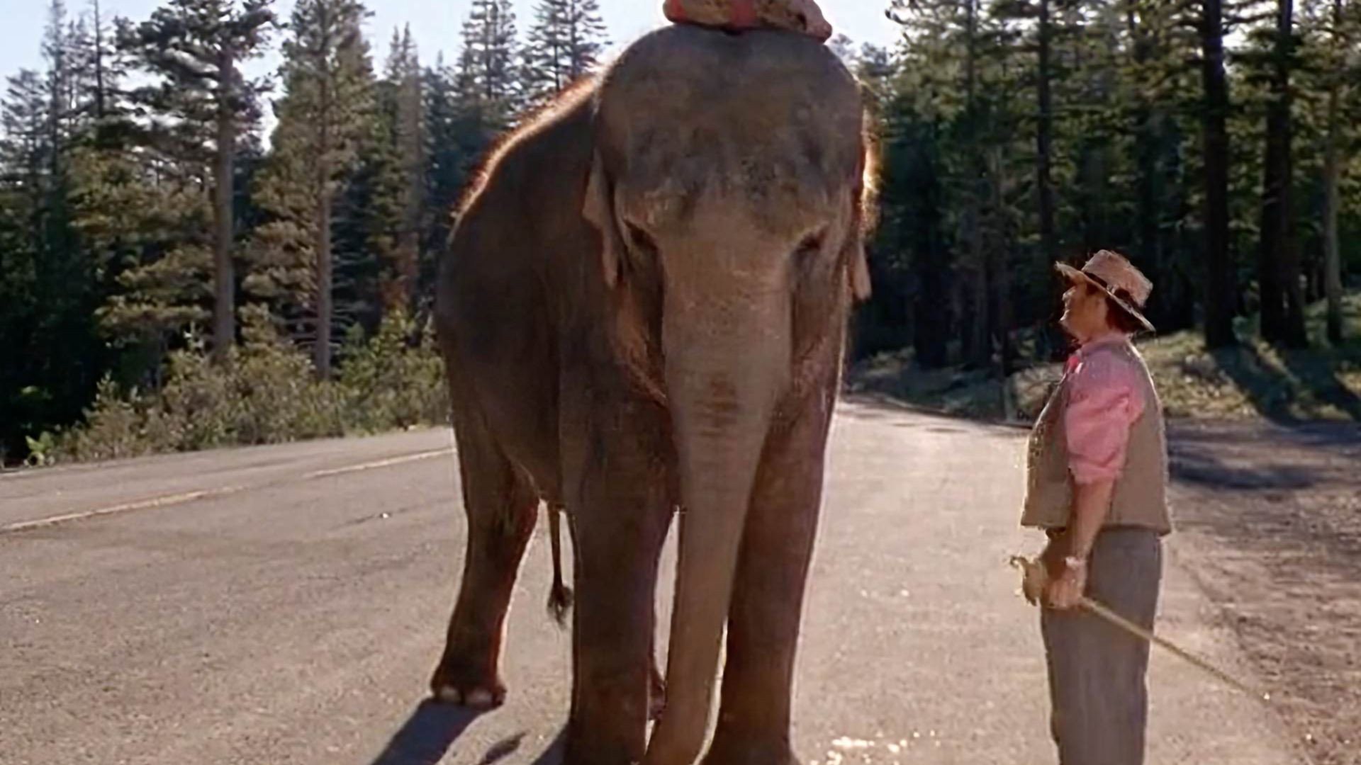 Larger Than Life scene photo