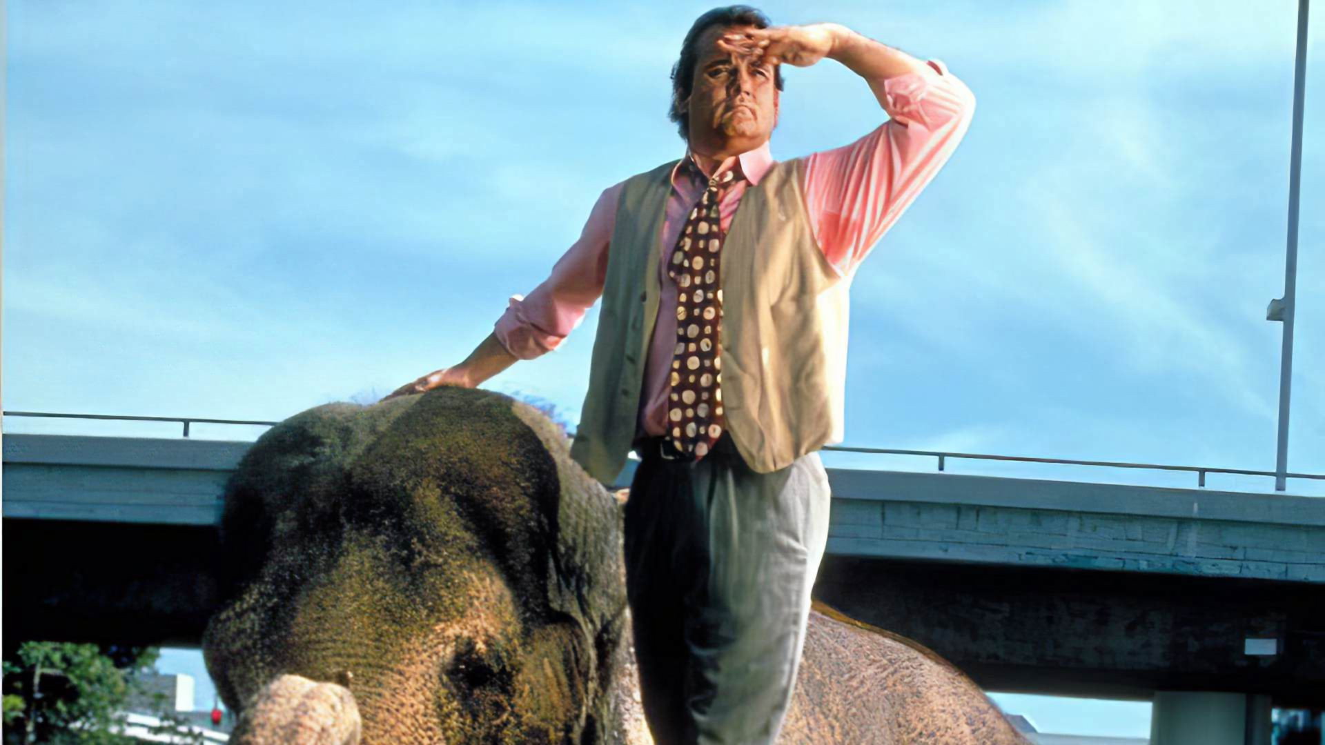 Larger Than Life scene photo