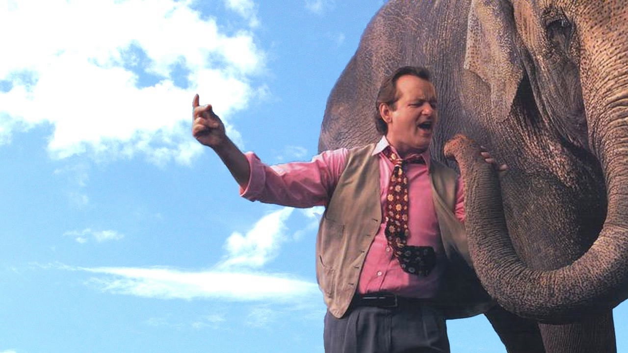 Larger Than Life scene photo