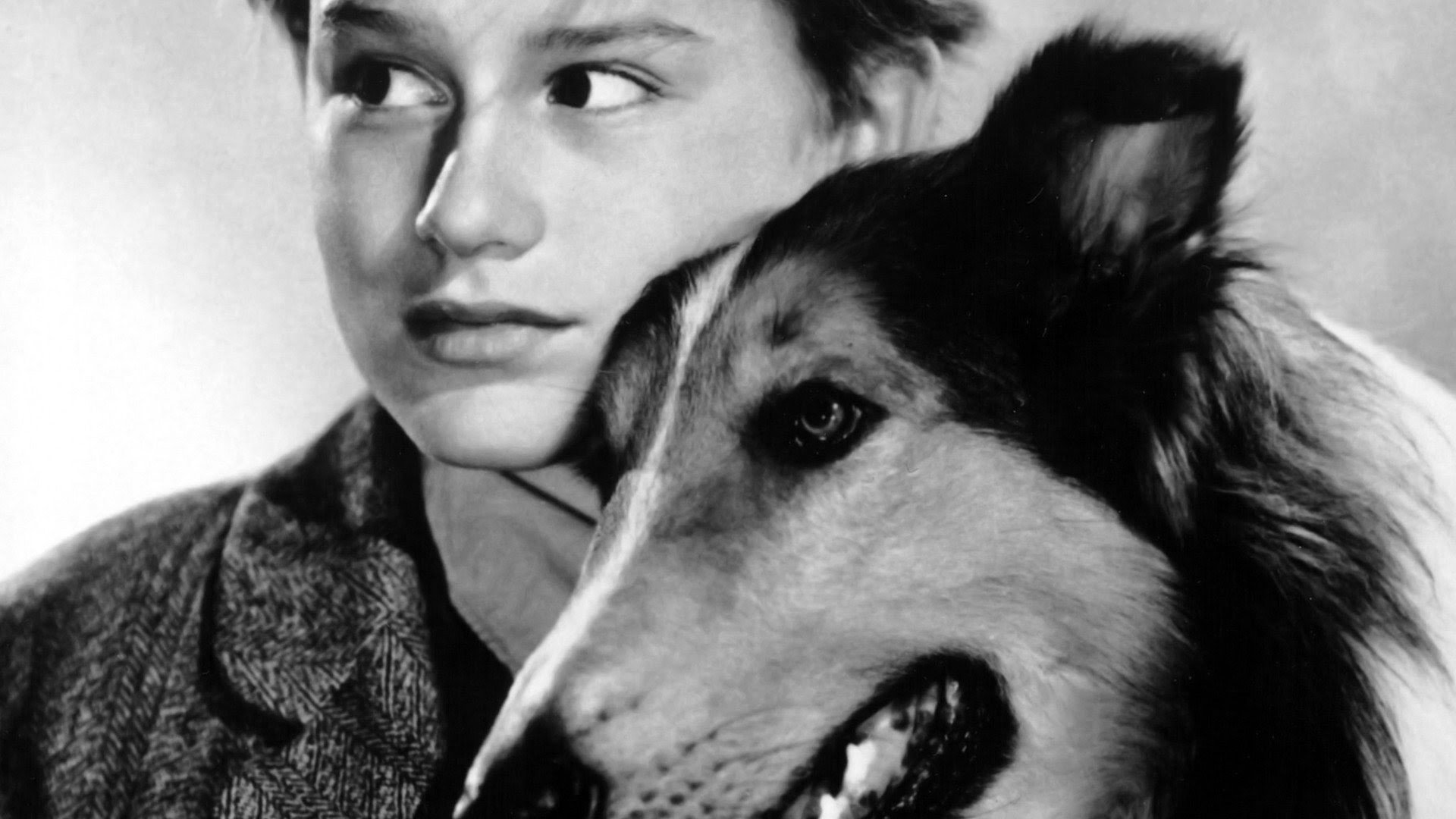 Lassie Come Home scene photo