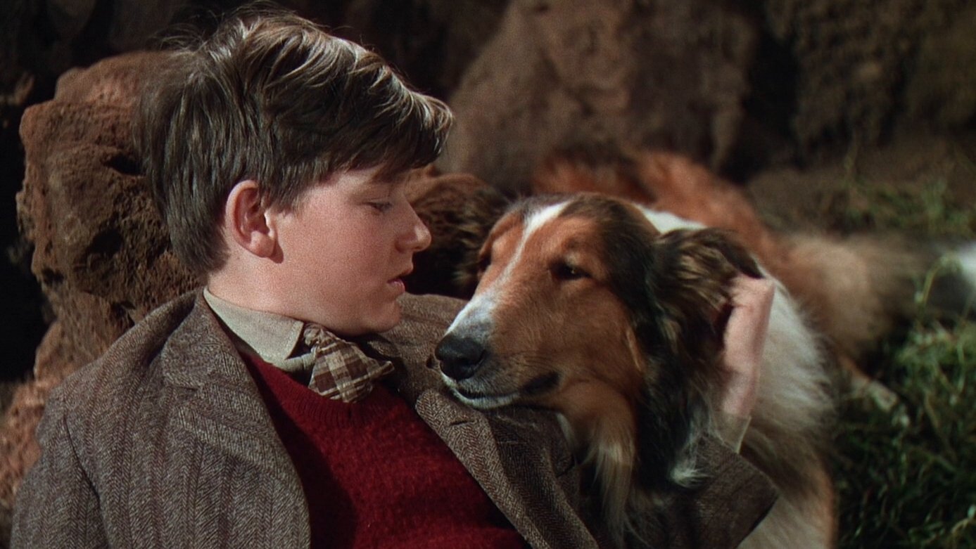 Lassie Come Home scene photo