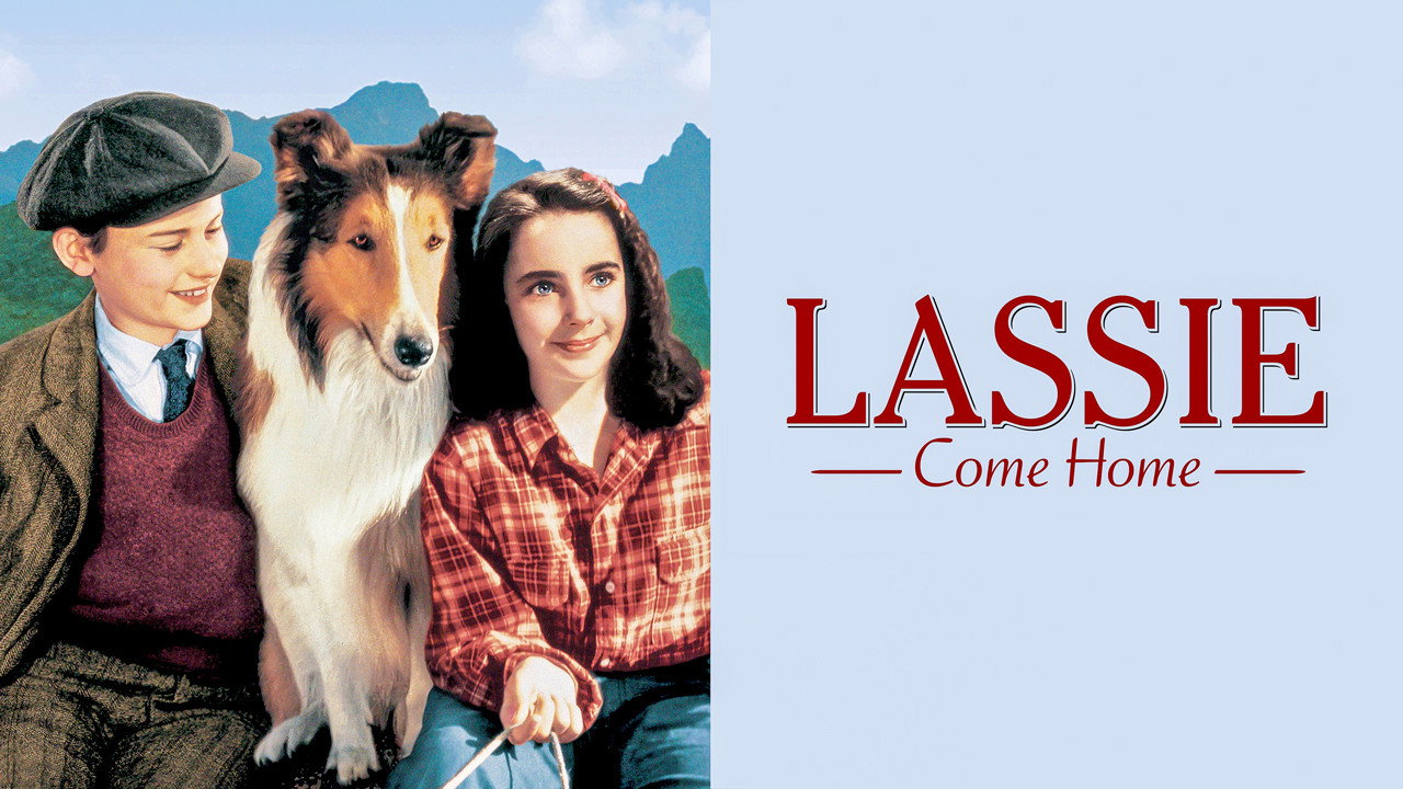Lassie Come Home scene photo